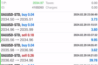 install and configure expert advisor ea, automated forex trading, forex robot