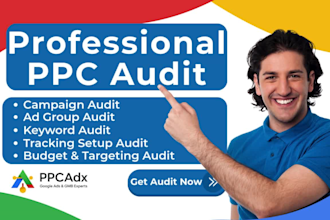 do a professional PPC audit and complete ad copy audit for better performance