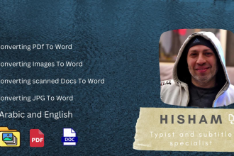 do data entry, PDF to word, image to word, copy paste for arabic and english