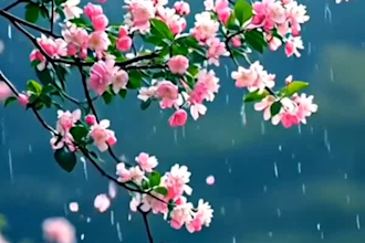 create realistic plant animation, 3d trees, 3d flower animation, 3d flower plant