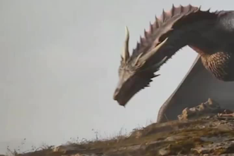 3d animal animation 3d animal design  3d dragon animation 3d dragon model