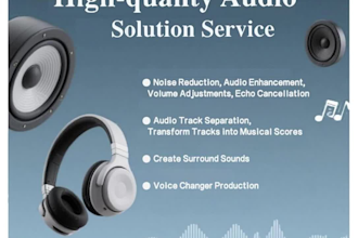 clean up and enhance your tracks, reduce noise, cancel echo as an audio engineer