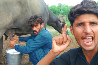 make funny happy birthday video or happy birthday video