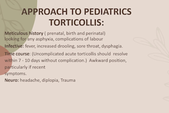 create physical therapy slides professionally