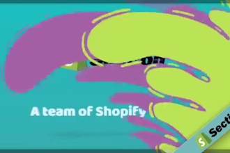 build shopify store or dropshipping ecommerce store