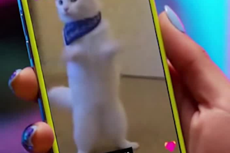 make ai videos for ads reels and social media using sora 2