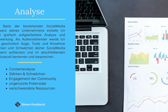 do your individual socialmedia strategy and consulting