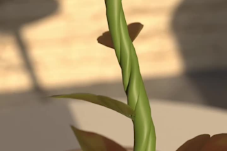 do 3d flower animation, 3d flower modelling, 3d flower rendering