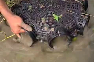 make fishing reels video for you youtube ,fb, tiktok,