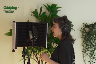 compose and record backing and lead vocals
