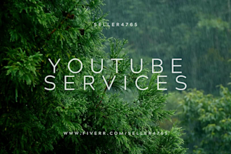write professional youtube video title descriptions and tags
