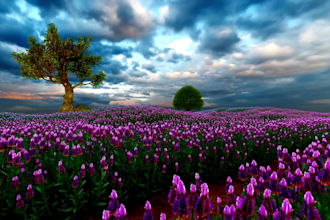 create youtube channel and meditation relaxing nature video