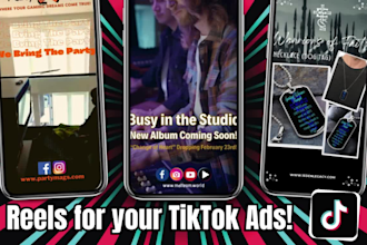 setup and manage tiktok ad campaigns