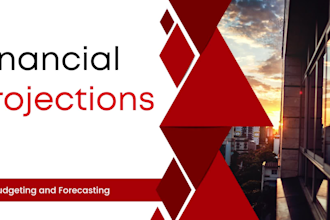 prepare financial statements, projections, profit loss