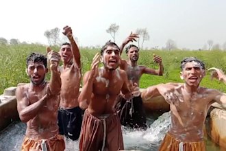 african happy birthday video african happy birthday video