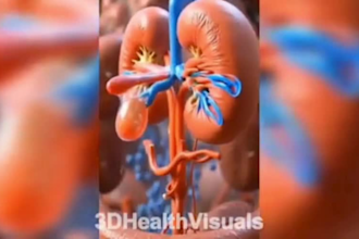 3d medical animation surgery anatomy health  3d surgery animation product design