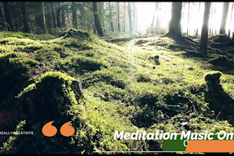 create 15 meditation,relax,sleep,yoga music videos youtube