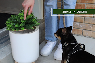 create an amazon product video ad