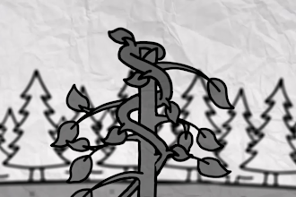 create whiteboard animation explainer doodle video whiteboard explainer animate