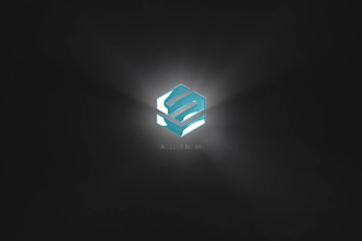 make an unique and custom logo animation