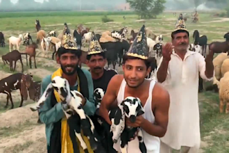 wish happy birthday video africa or happy birthday video africa