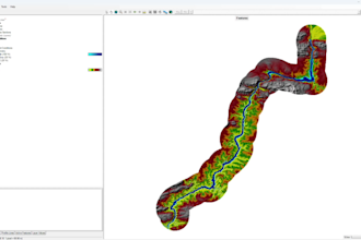 do the hec ras and swmm hydraulic modeling for your projects