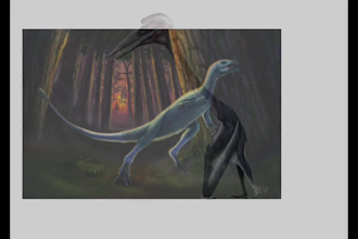 do reconstructions of organisms and prehistoric environments