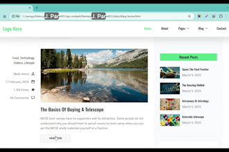 provide custom blog website design solutions for any project