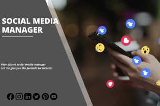 be your social media manager and content creator