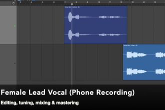 mix master and edit your vocals to industry standard