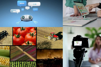 edit sizzle reels, showreels, instagram tiktok short videos reels