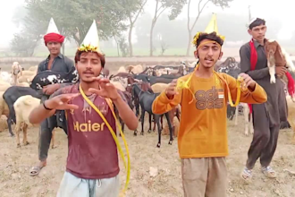 wish african happy birthday video funny birthday video