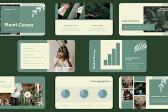 design powerpoint presentation, business plan, sales pitch