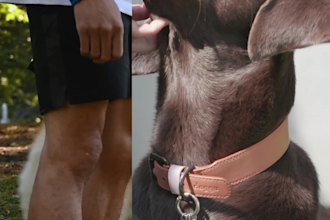 video ads like tiktok ads