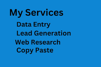 do online research and data entry with excel and retype job
