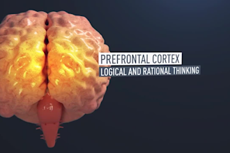 do 3d medical animation, 3d scientific animation,3d anatomy animation 3d surgery