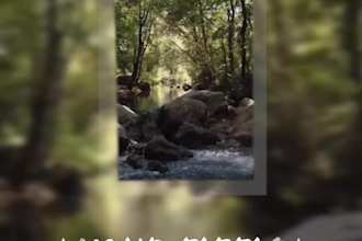 create video promotion for your adds