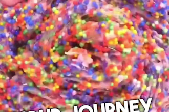 create fact satisfying video for youtube tiktok shorts and videos