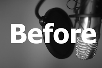 remove vocals from any song or link within 24 hours