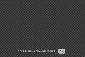 create handwritten or text animation 4k in 24 hours