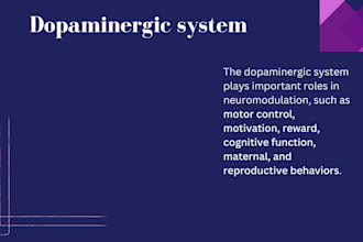 make presentations related to medicine and pharmacy