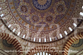 narrate documentary voice over with a soothing female voice