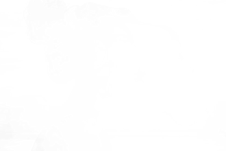 animate your images or this artwork into videos or gifs