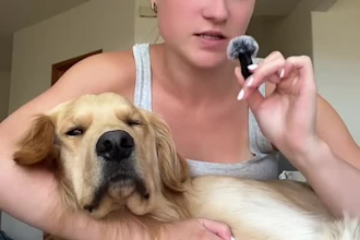 create ugc video ads for viral pet ugc, pet brands, lifestyle brands