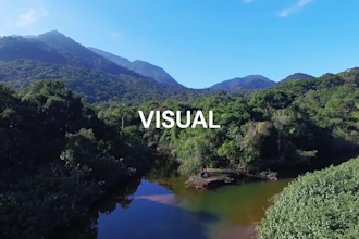 create an incredible visual identity for your brand