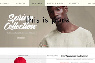 design shopify website or store for maximum roi