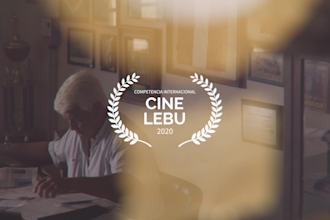 provide screenplay analysis and notes
