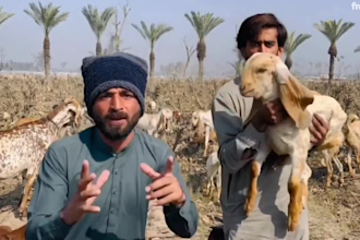 funny happy birthday video funny happy birthday video