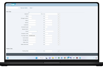 provide expert sap abap development and consultation