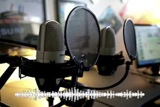 provide professional voice over in english, hindi, gujarati languages